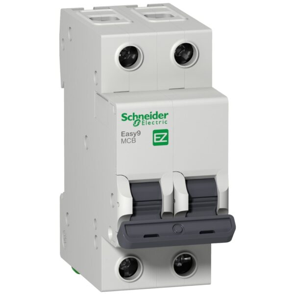 Interruptor termomagnético Easy9 EZ9F56216 Schneider Electric